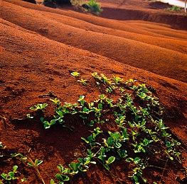《活体脑细胞》开发商通过游戏更新来暗示新作情报