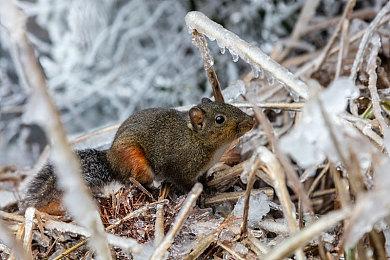 《黑神话：悟空》Steam销量2200万份 收入10.1亿美元